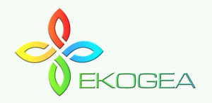 Ekogea